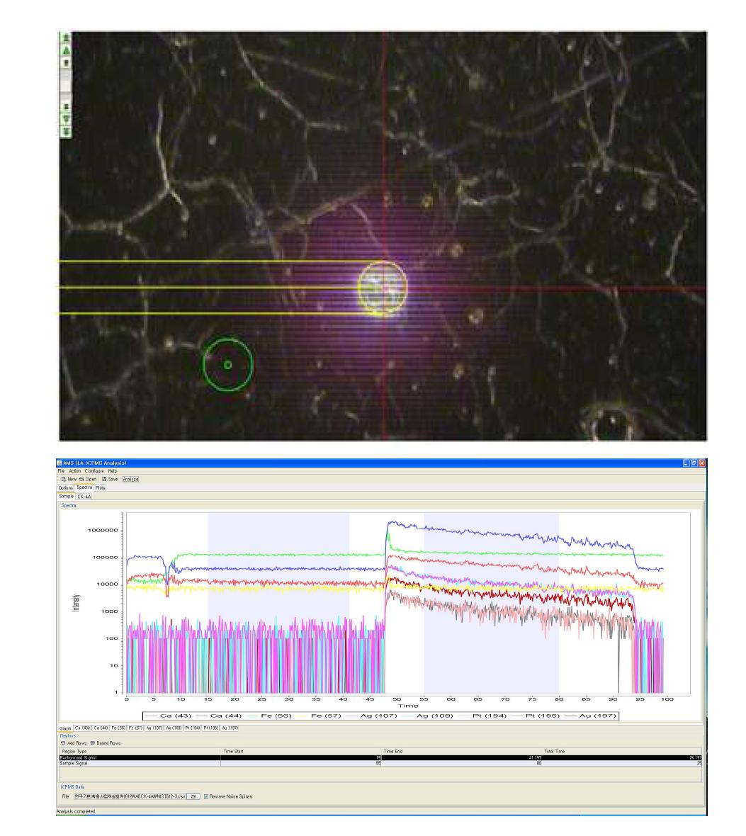 LA-ICP-MS 분석(Laser spot 50㎛ φ) 및 data reduction 과정.