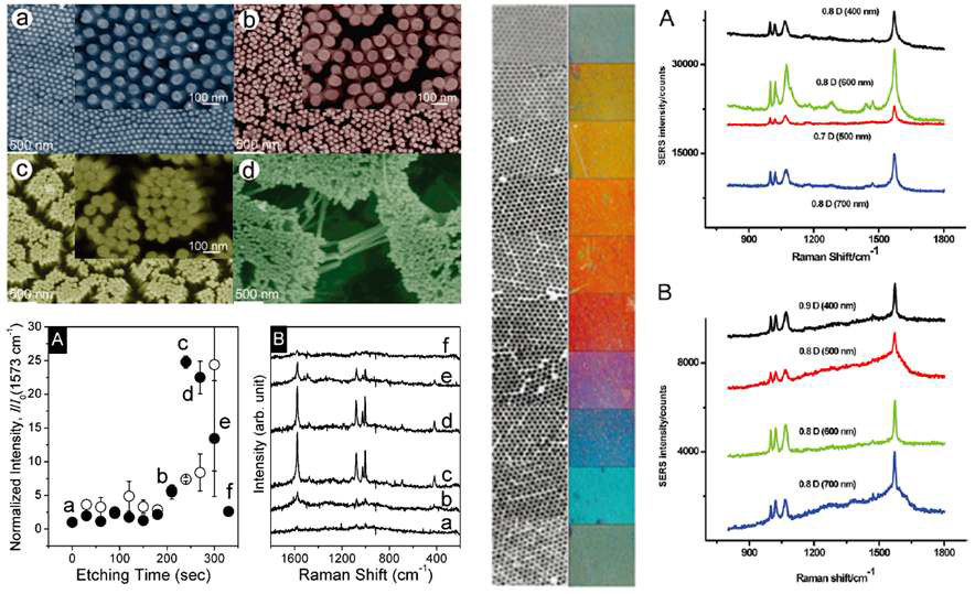 은 나노선 사이의 거리와 나노동공 지름을 조절하여 라만활성 비교 연구.