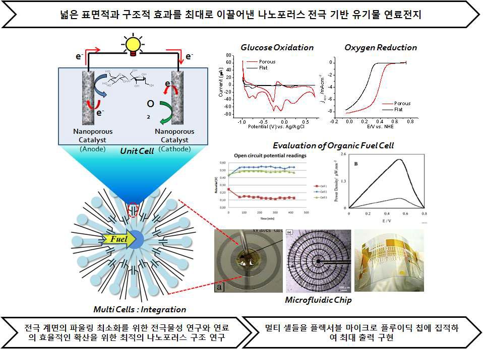 연구 목표 5: 넓은 표면적과 구조적 효과를 최대로 이끌어낸 나노포러스 전극 물질로 비효소 유기물 연료전지 개발.