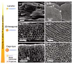 코폴리머를 템플릿으로 이용한 다양한 구조의 메조포러스 백금.