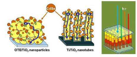 나노입자 산화티타늄 위에 입혀진 CdSe(왼쪽), 나노튜브 산화티타늄 위에 입혀진 CdSe(가운데), 무지개 태양전지의 모식도(오른쪽).