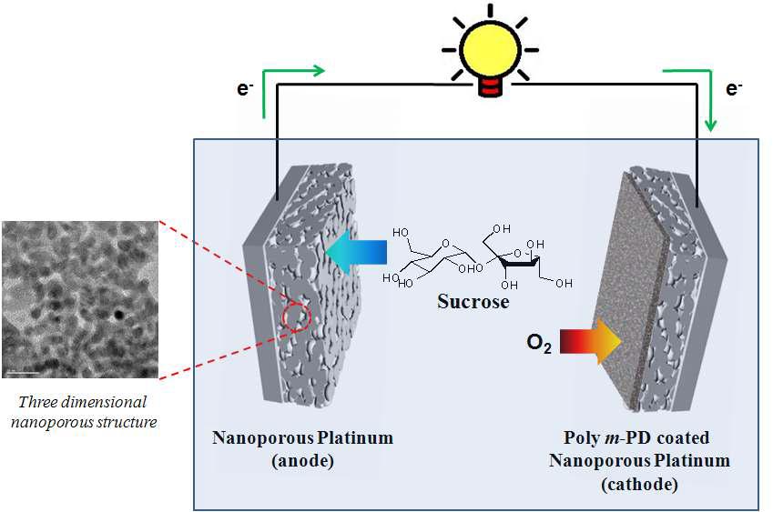 나노포러스 백금 기반 수크로즈 연료전지 모식도