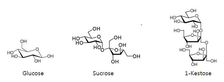 다양한 당류. 글루코즈 (단당류), 수크로즈 (이당류), 1-케스토즈 (삼당류)