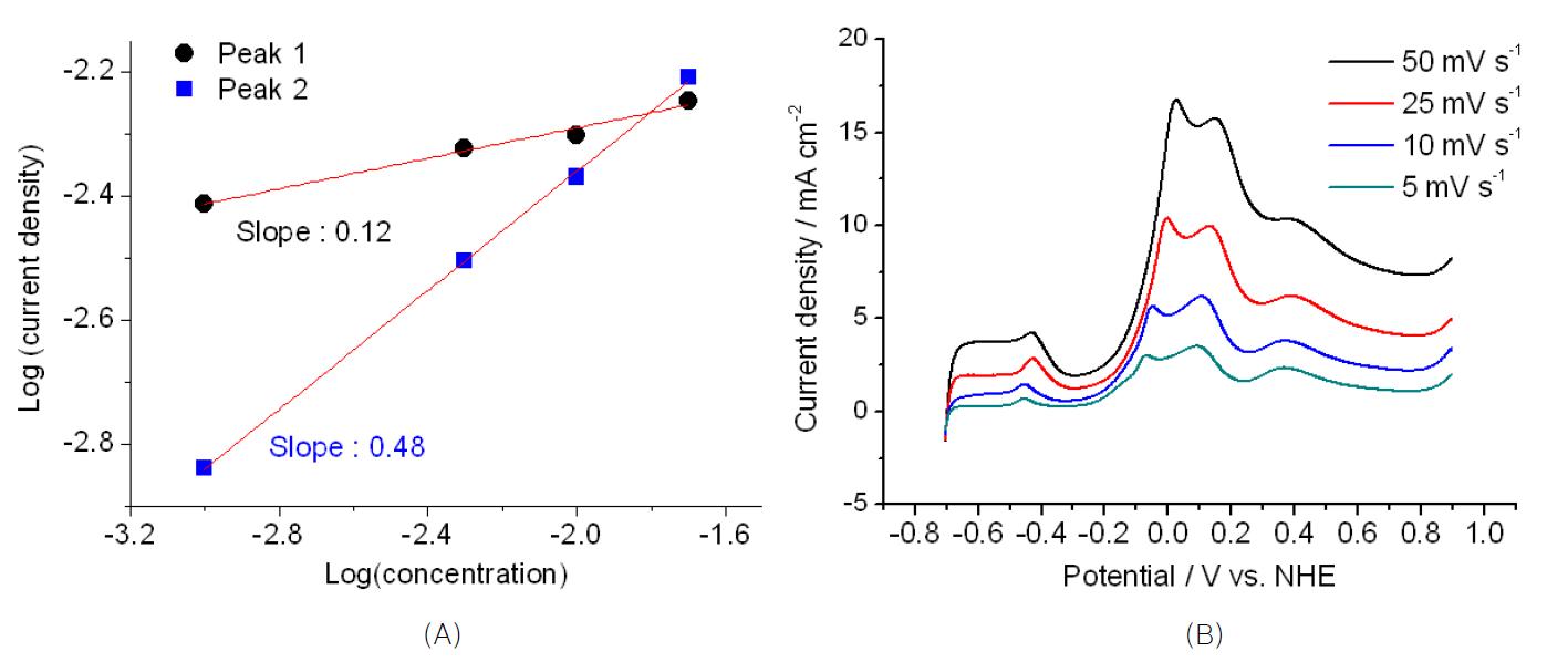 (A) 농도에 따른 산화전류. (B) 스캔속도에 따른 산화전류.