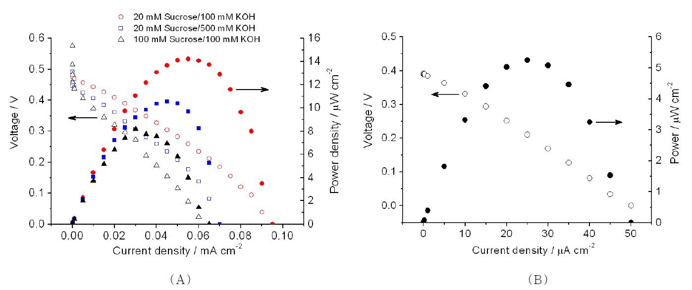 나노포러스 백금 기반 수크로즈 연료전지의 출력 곡선