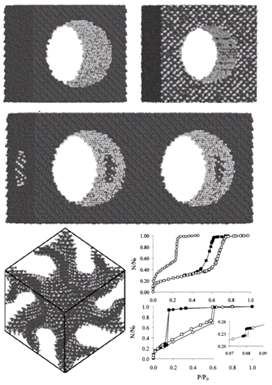 메조포러스 실리카 표면의 기체 흡착량 시뮬레이션.