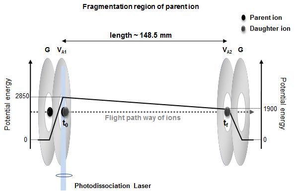 Parent ion과 daughter 이온의 분리
