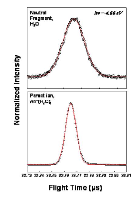규격화된 An+(H2O)1 어미 이온과 중성 분해물의 광분해 (266 nm) time-of-flight spectra.