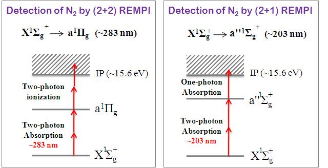 질소 분자의 두 가지 REMPI 과정의 도식도