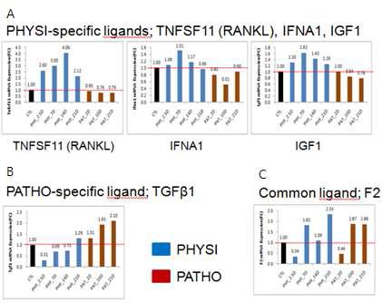 혈압조절자들에 대한 ligands upstream 분석 결과 A) PHYSI 특이적 ligands B) PATHO 특이적 ligands C) 공통 ligands