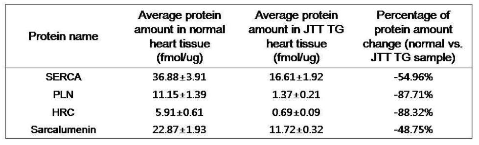정상 마우스와 junctate 과발현 마우스의 심근조직시료에서 SERCA2a와 상호 결합하는 칼슘 대사 관련 단백질들의 절대 정량 분석 결과