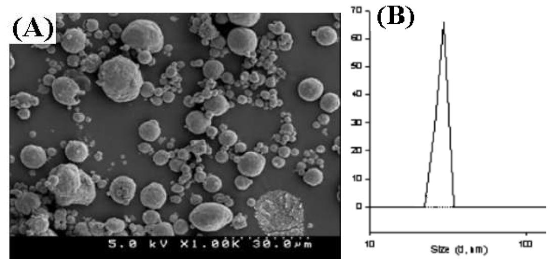 Scanning electron micrographs (X1000) (A) and particle size (B) of docetaxel-loaded nano particle.