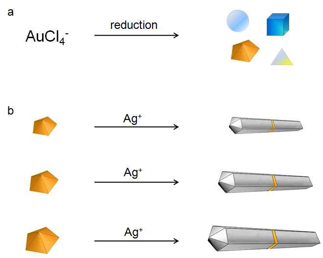 a) 다양한 형상의 금 나노결정의 합성, b) 두께가 조절된 은 나노선의 합성