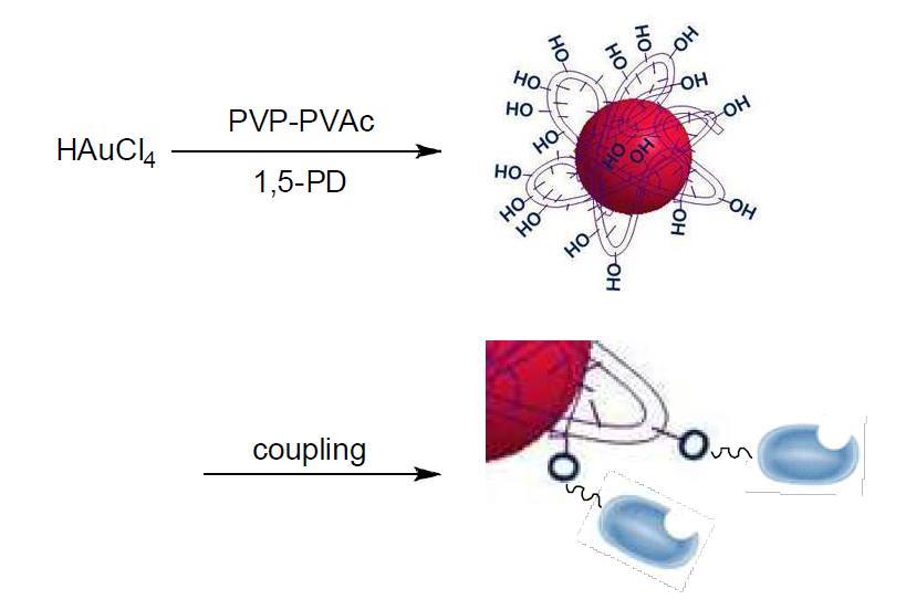 PVP-PVAc 를 이용해 합성된 금 나노입자 및 그 응용