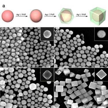 (a) 금-은 이종나노 입방체의 형성 메카니즘, (b) 금 씨앗으로 사용되는 구형의 금 나노입자에 금속 은을 성장시킨 (c) 구형, (d) cuboctahedron (e) 입방체 형상을 가지는 이종나노구조체