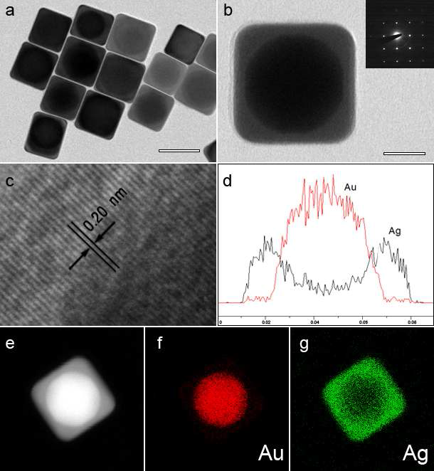 구형의 금 나노입자로부터 합성된 금-은 이종 나노입방체의 (a) TEM, (b) 단일 입자의 TEM 자료와 SAED 패턴, (c) 금과 은 경계면 근처의 HR-TEM, (d) 대각선 방향의 선형 원소분석, (e-g) HAADF-STEM 그림과 조성 분포도 자료