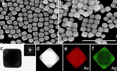 cuboctahedron 금 나노입자 (a) 로부터 합성된 금-은 이종 나노입방체의 (b) SEM 사진, (c) 단일 입자의 TEM 자료와 SAED 패턴, (d-f) HAADF-STEM 그림과, elemental mapping 자료