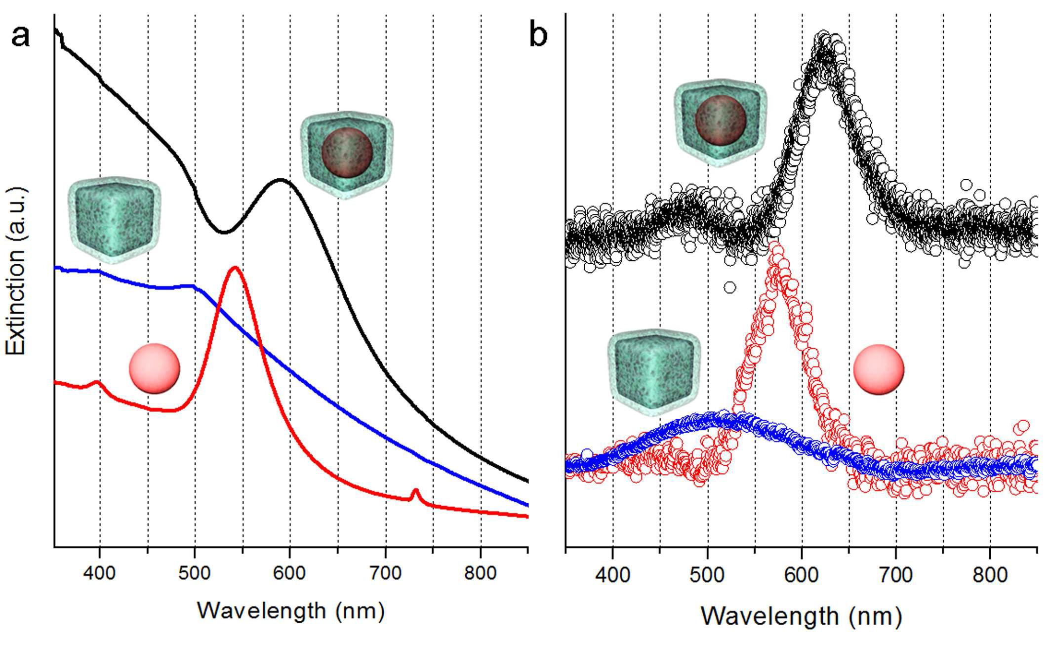구형 금 나노입자 (빨강), Pt/CdS hollow 입방체 (파랑), Au@Pt/CdS 입방체 (검정)의 (a) UV-Vis 흡수 스펙트럼과 (b) 단일입자 암시야 스펙트럼