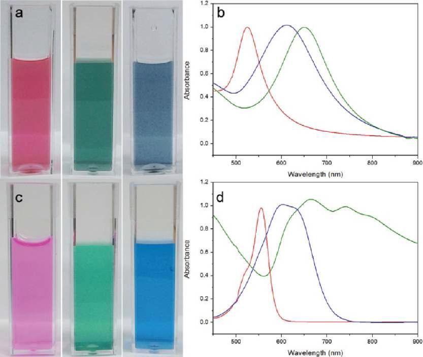 (a,b) 금 나노입자 (R), D (G), C (B) 나노입자 물 분산의 사진 및 광학 특성. (c,d) 유기염료인 로다민B 이소시아네이트 (R), 피그먼트 그린 7 (G), 애시드 블루 25 (blue) 수용액의 사진 및 광학 특성.