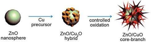 ZnO-CuO 중심-가지 혼성 나노입자의 합성