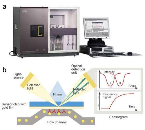 a) Biacore 社에서 제작된 SPR 측정 장비 (Biacore 3000 모델), b) 표면 반사광 변화 측정을 위한 SPR 기기의 모식도, 항체와 같은 수용체가 센서 표면에 고정화 되어있고, 항원이 흐르면 SPR은 센서표면 굴절률의 변화를 감지한다.
