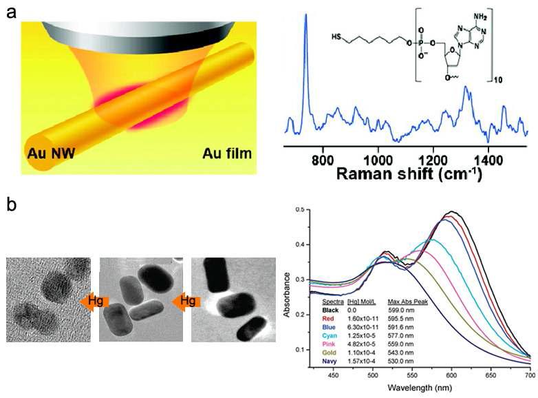 a) 금속 나노선과 금속 기판 사이의 핫스팟을 이용한 표면 증강 라만 분광학을 이용한 센서, b) 금나노로드 형태의 변화를 이용한 LSPR 수은 센서