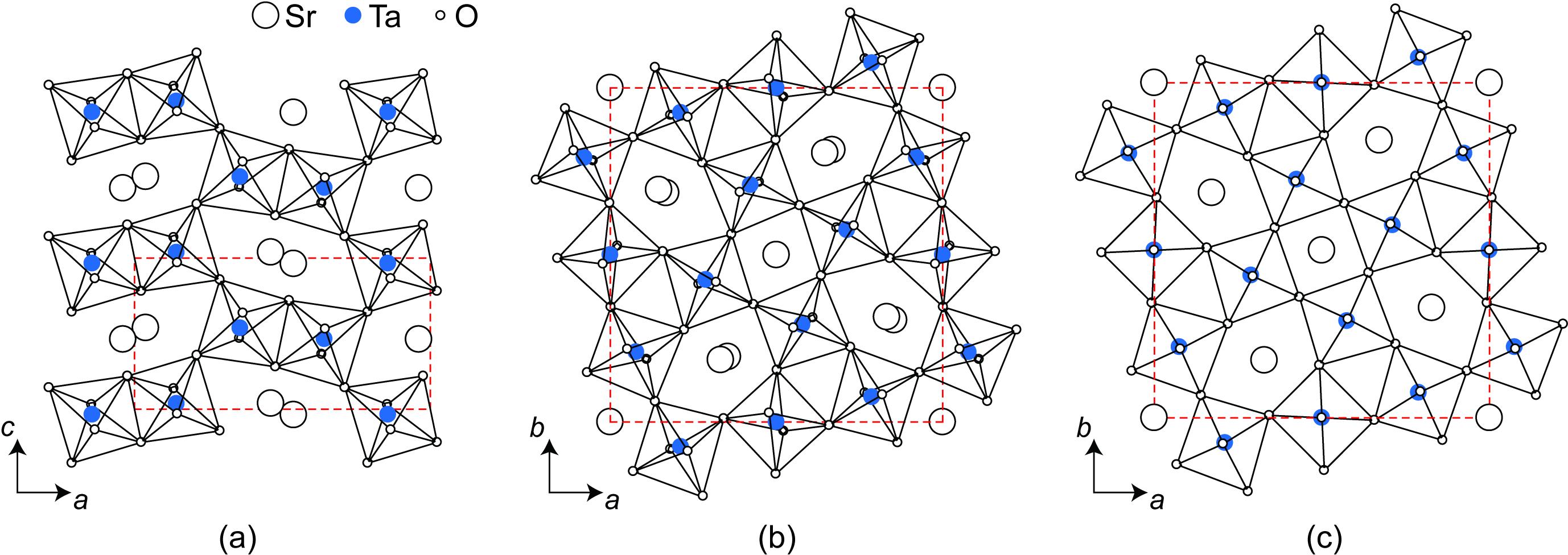 1차원 채널 방향으로 투사된 SrTa2O6의 구조 (a) α, (b) β, (c) β′-형