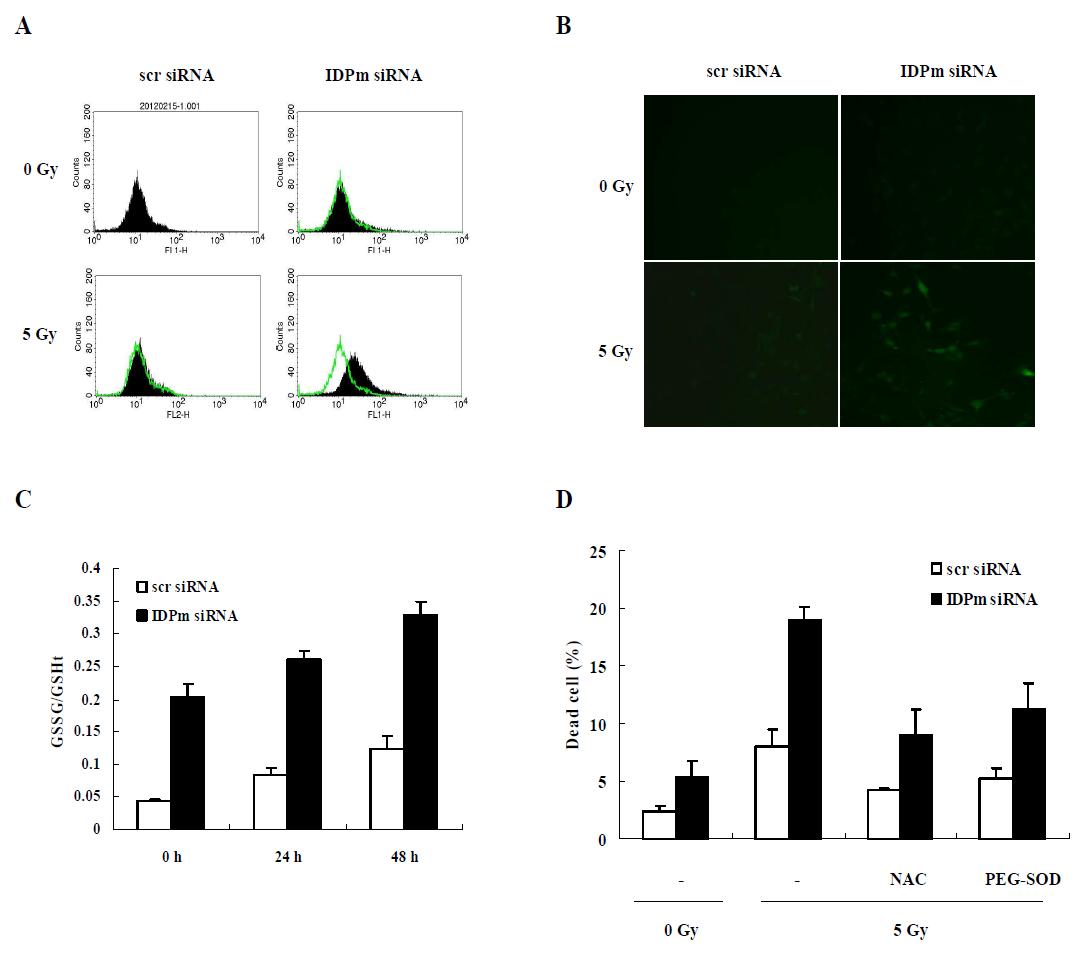 Knock down of IDPm on cellular redox status in A172 cells.