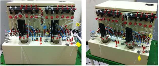 The FDG dual Automatic Synthesizer