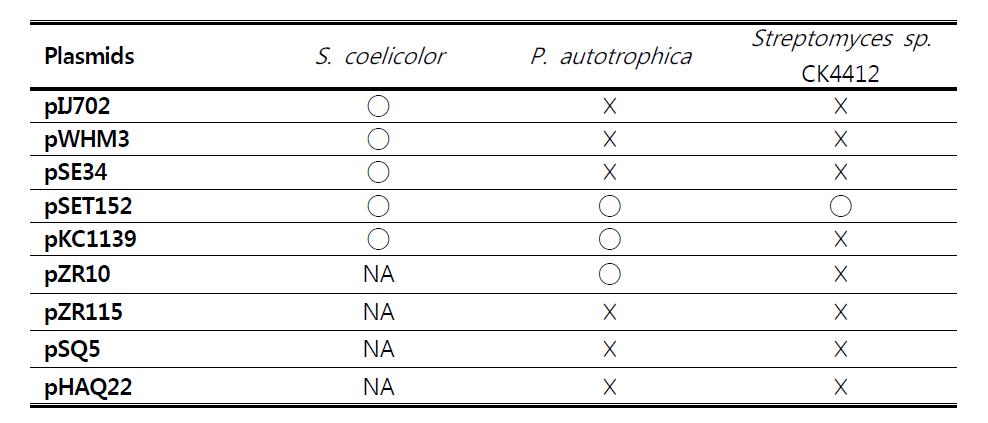 Availability of replication plasmids for transformation of three different Streptomyces sp.