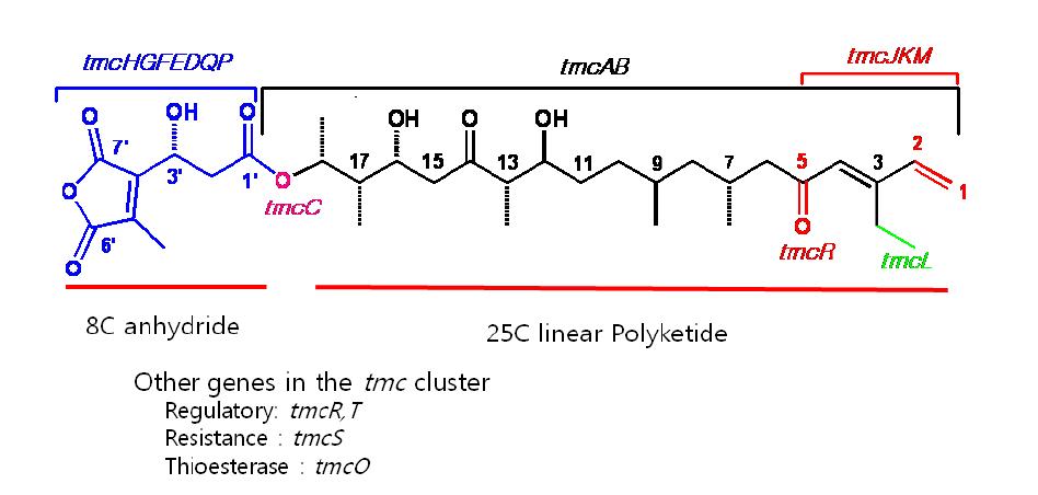 TMC structure and biosynthetic gene cluster