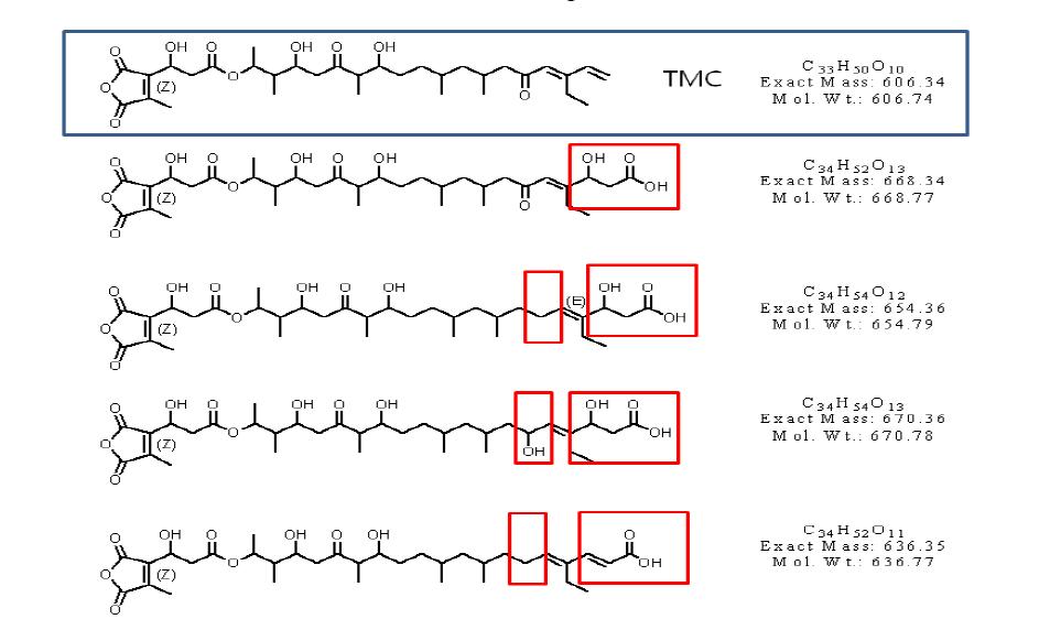 Suggested structures from tmcJ, K mutants and tmcM mutants