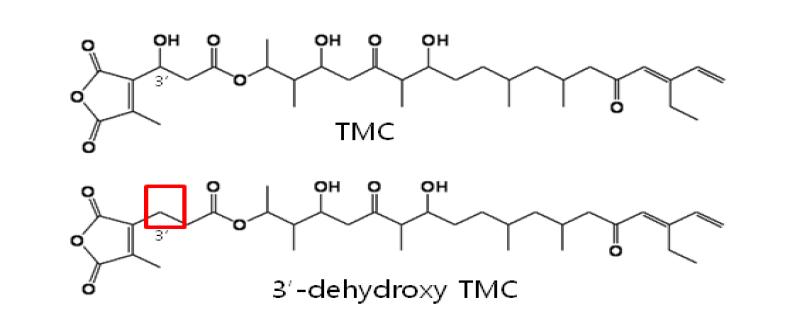 Suggested structures from tmcG mutants