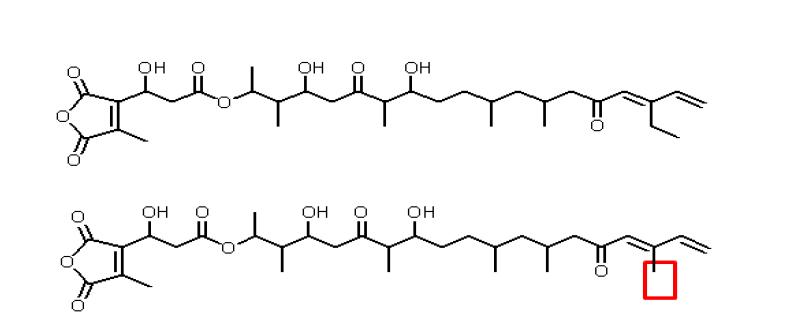 Suggested structures from tmcL mutants