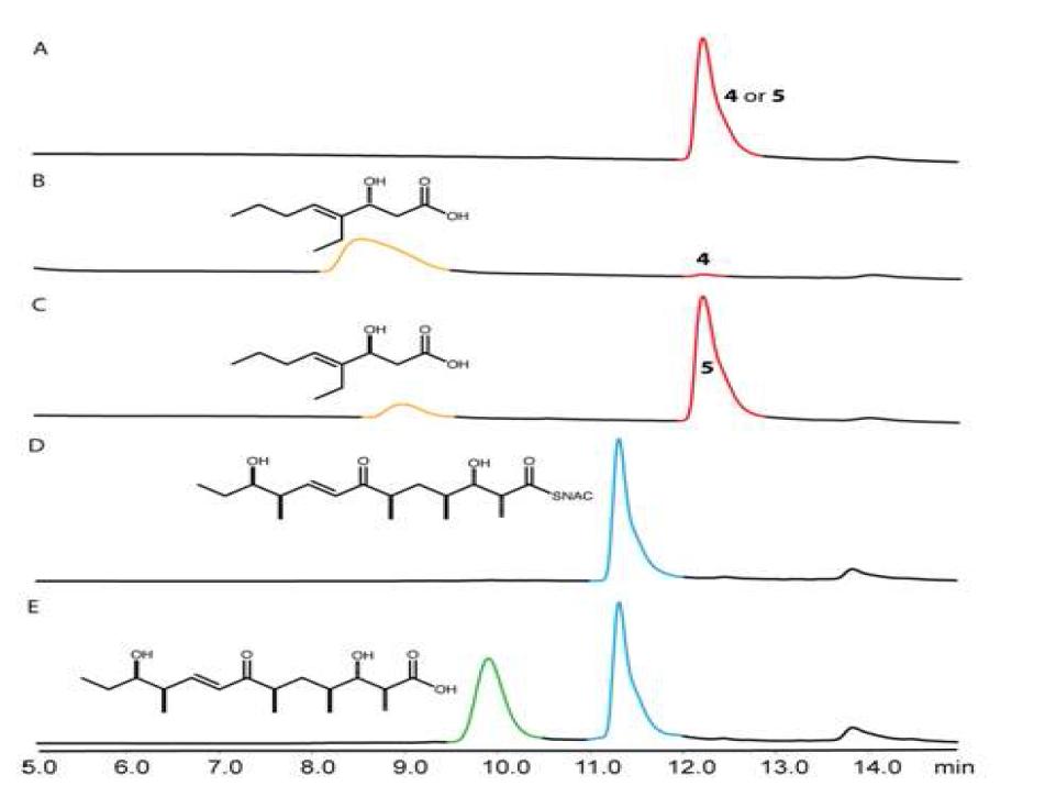 Hydrolysis by the TMC TE