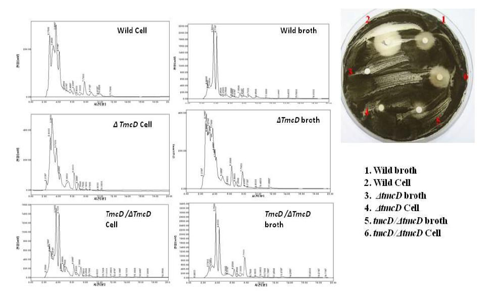 HPLC and antifungal analysis of tmcD mutant and complement strains