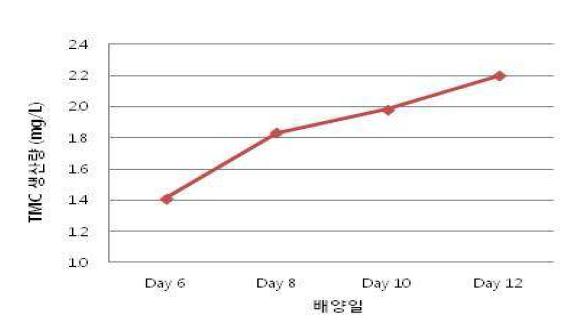 야생형 균주의 배양일에 따른 TMC 생산량