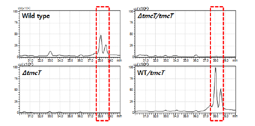 HPLC analysis of tmcT mutant, complement strain, and over-expression strain