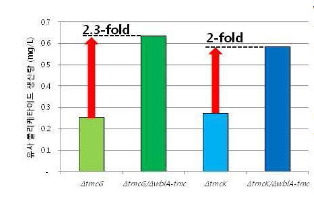 tmcG, K muant에 wblA를 제거한 균주의 TMC 유사 물질의 생산량 비교