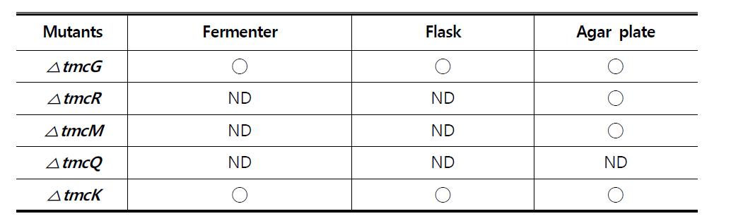 본 연구에서 사용된 mutants 균주와 배양방법별 TMC 유사 선형폴리케타이드 검출여부