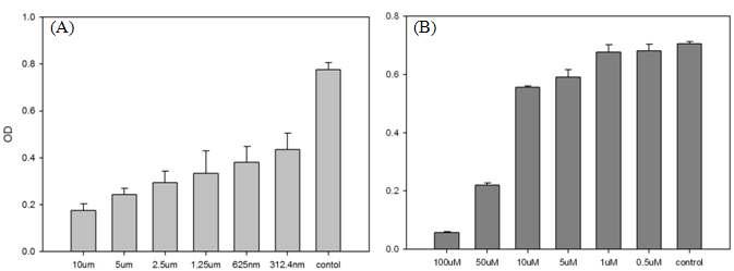 Effect of TMC and TMC analogues on growth of NCI-H1299 cells. (A)TMC (B) 5-deoxy TMC