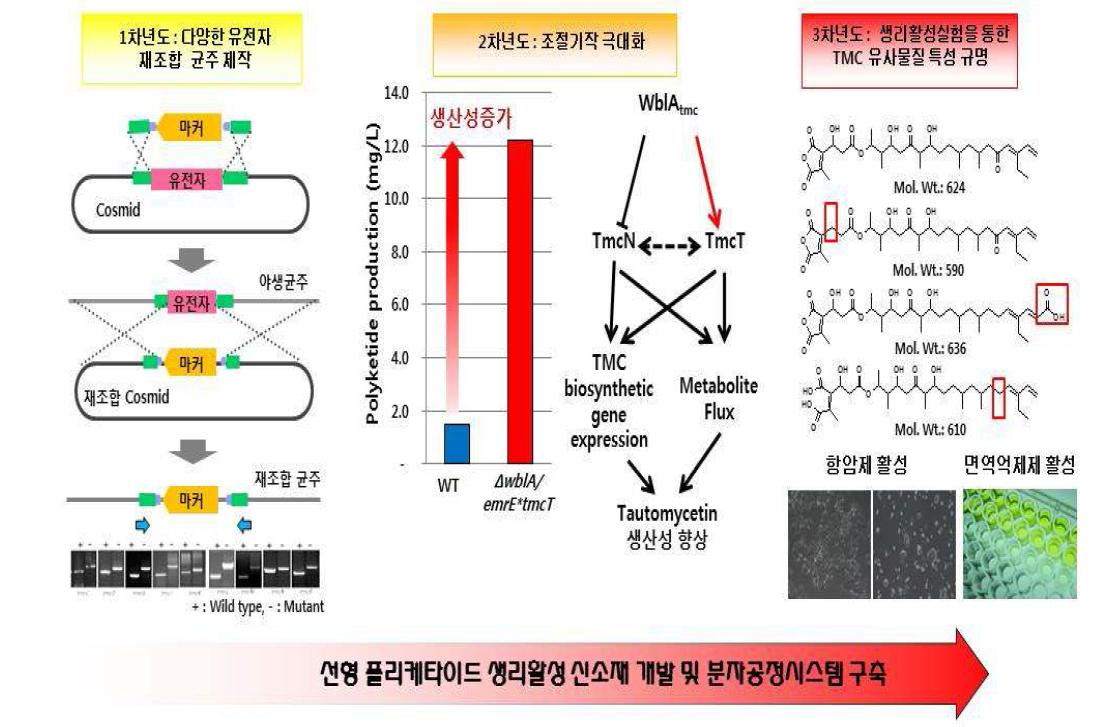 3년간의 본 연구 결과 연구 요약 모식도