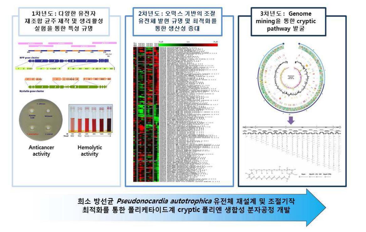 연구결과의 활용 및 추가 연구 요약 모식도