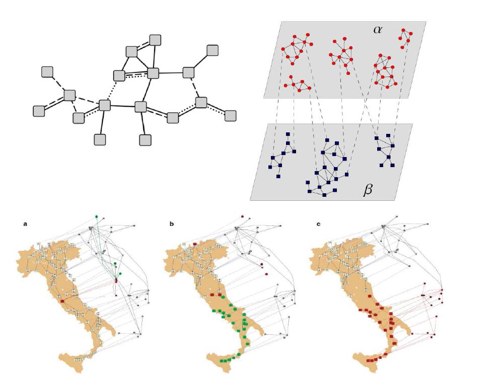 Coupled 네트워크 시스템에 대한 다양한 동시대 연구의 예.