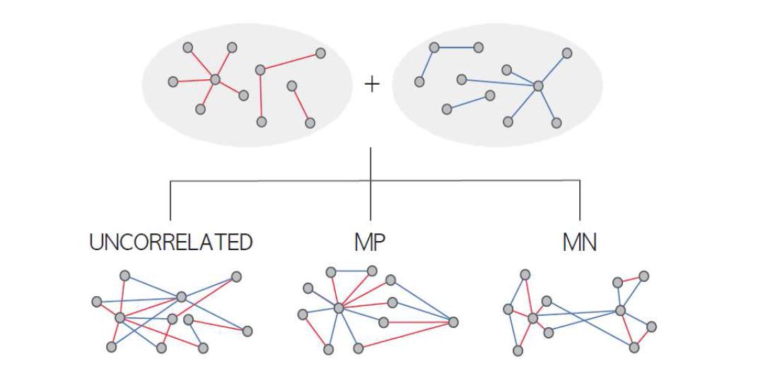 Correlated multiplexity network model의 모식도.