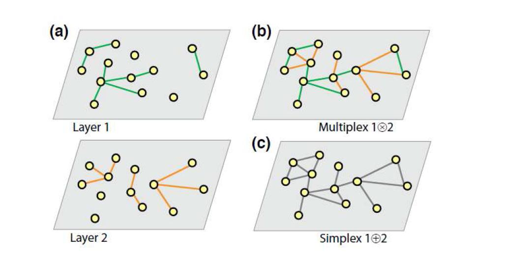 Multiplex dynamics와 simplex dynamics의 비교 모식도.