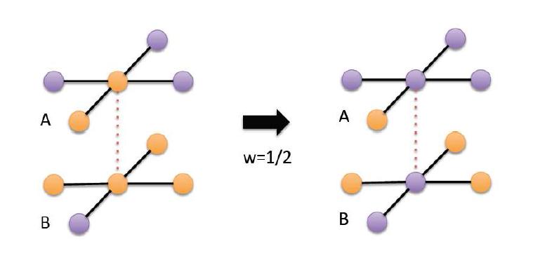 Two-layer multiplex network에서 OR-type majority voter 모형 dynamics의 모식도.