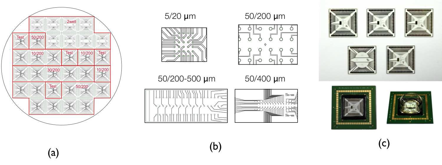 (a) 반도체 공정을 위한 8인치 마스크 설계도, (b) 다양한 형태의 뉴런칩, (c) 반도체공정으로 완성된 유리기반 뉴런칩과 신호측정을 위해 인쇄기판으로 패키징된 완성품.