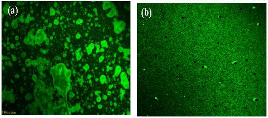 Confocal laser scanning microscope image of (a) Ni/Ag/Ni/Sn-Ag(400℃ annealed) (b)Ni/Ag/Ni/TiW/Cr/TiW/Cr/TiW/Cr/TiW/Cr/TiW/Sn-Ag(400℃ annealed) surfaces.