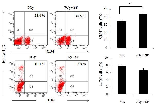 Flow cytometry를 통해 본 증가된 비장세포의 형태학적 분류